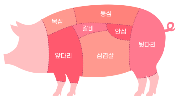 돼지 대분할 부위명